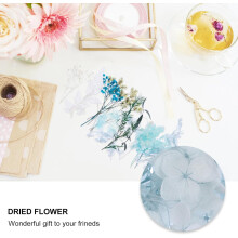 Dry Flower Embossing Material Dried Flowers DIY Material Decorative Natural