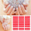 5 Sheets Double-Sided Crystal Nail Display Tape 8