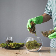 Mușchi verde conservat, pachet de 60 g, mușchi etern pentru aranjamente florale DIY