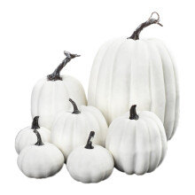 Tacar Pumpkin Saorga Oráiste & Bán 7 bpíosa