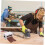 Boxed Carpetry Sanding Roll with Anti-Clogging and Anti-Static Fabric 6