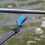 Fishing Pole Holder Automatic Rebound Plastic Rod End Clip Anti-Slip Front Fork 1pcs 6