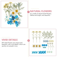 1 Beutel echte, getrocknete und gepresste Blüten, Naturblumen, leuchtende Farben, handgefertigt, farbecht