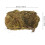 Decorative Moss Crafting Material 100g Bag Natural Green Artificial Moss 1