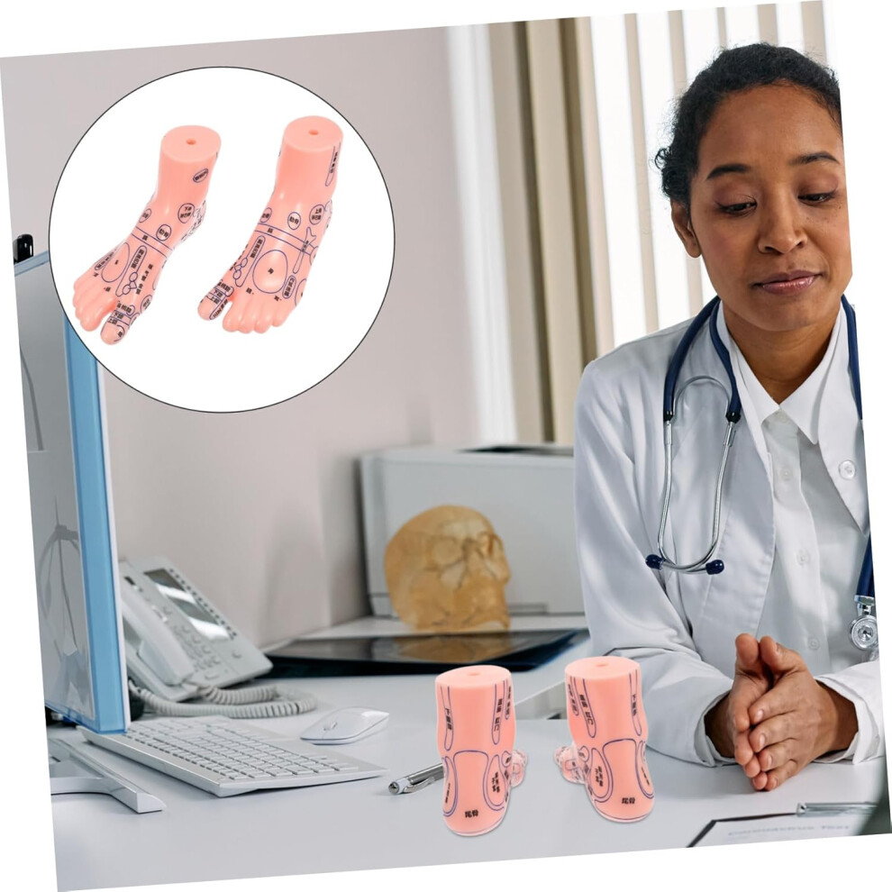 Hkhbjs Foot Acupoint Model Pair For Massage And Teaching Anatomical Foot Massage Model