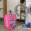 Foldable Laundry Basket Portable and Space Saving Design with Mesh Ventilation 5