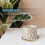 1pcs Oval Agate Coaster Gold-Plated Edge Agate Stone Coaster 4