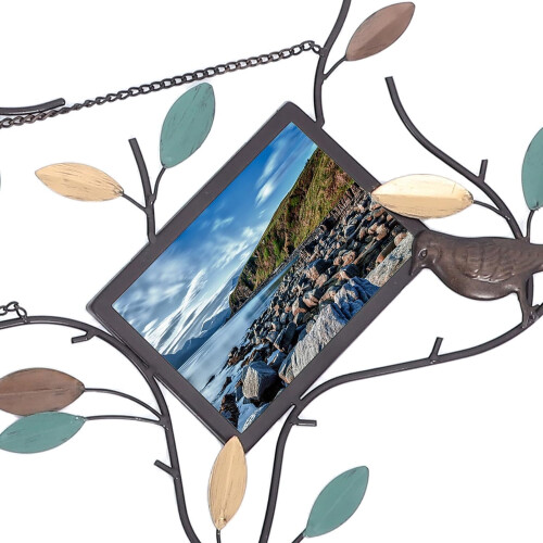 Metal Bird Branch Wall Frames Hanging Collage Photo Frames with Rustic Iron Material 2