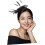 Fascinator Headband Elegant Mesh Flower Feathered Design 5