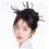 Fascinator Headband Elegant Mesh Flower Feathered Design 6