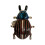 Colorful Exaggerated Insect Themed Cocktail Ring-brown beetle1 1