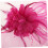 Fascinatorhatt for kvinner Elegant hodepryd med netting 3