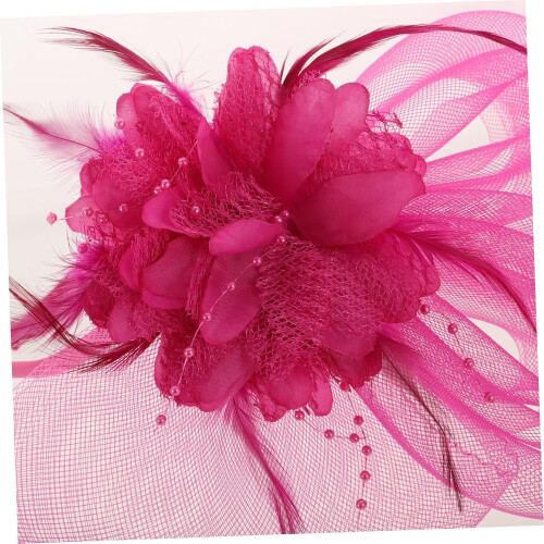 Fascinatorhatt for kvinner Elegant hodepryd med netting 2