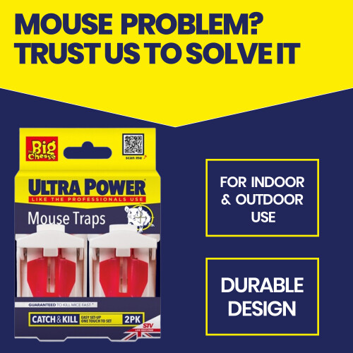 STV Mouse Twin Trap Pre-Baited Ready Indoor Use 1