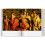 Issey Miyake. 45th Ed. (english) 8