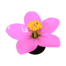 Levensgroot kunstmatig perzikbloem biologisch demonstratiemodel