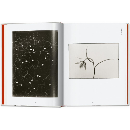 Karl Blossfeldt. The Complete Published Work. 45th Ed. by Hans Christi 2