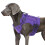 Dog Vest Adjustable Training Dog Harnesses Adjustable-Purple S 3