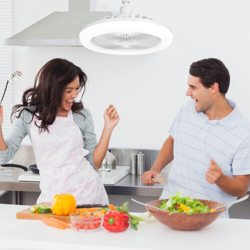 Ventilateur de plafond LED avec lumière et télécommande, 3 vitesses, 1