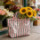 Classical Striped Carryall Bag PVC Construction-green powder 6