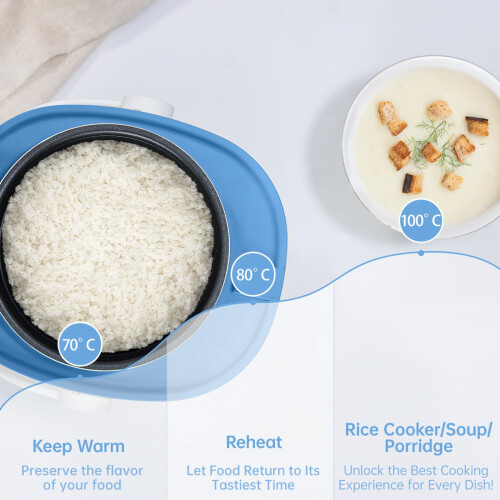 Mini rice cooker with non-stick insert and vegetable 2
