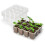Seedling Trays Set Plastic Germination 10 Pcs 3