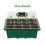 Seedling Trays Set Plastic Germination 10 Pcs 4