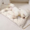 Dog Bed for Small Dogs Waterproof Washable Medium 6