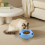 Pet Feeding Bowl Non-Slip Blue 5"W x 2"H 6