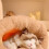 Sac de couchage pour chat et chien, lit tunnel confortable, petits chiens 3