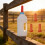 Biberon d'alimentation pour animaux de ferme, anti-déversement, 6