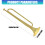 Brass Students Youth Bb Trumpet Strong Practical Music 3