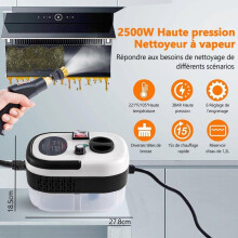 2500W Steam Cleaner, with 5 Brush Heads, Adjustable to 6 Levels, for Cleaning Dirt, Grease and Dust, Black
