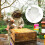Practical Portable Beekeeping Tool Metal And Fabric Bees Trap 4