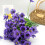 Arisefrom Künstliche Gartenblumen – 7 Bündel, gemischt 5