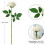 Hvit kunstig rose med lang stilk, 50 cm (1 stk.) 3