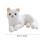 Magpie Plush Cat Stuffed Toy 30cm 2