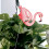 Gartenstecker mit rosa Flamingos aus Eisen, 2er-Pack 4