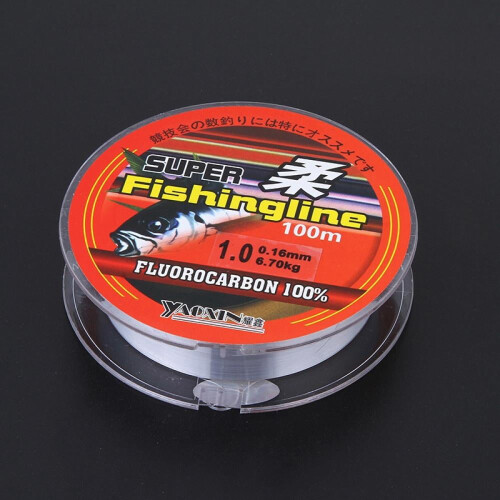 Fishing Leader Line Nylon Fluorocarbon 100m 2