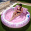 (white, 190*165cm) Inflatable Water Float Leaf Pool Lounge Party Floating Chair Water Bed 3