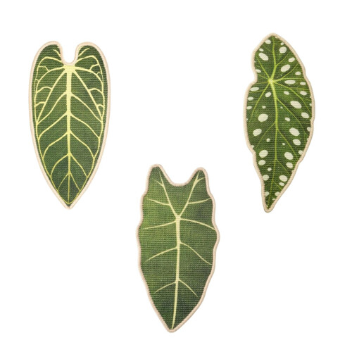 Durability Cats Scratch Pad Cats Wall-Alocasia macrorrhiza 1