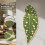 Durability Cats Scratch Pad Cats Wall-Alocasia macrorrhiza 3