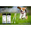 \u200b100 Pack Pet Urine Testing Strips for Dogs Cats Veterinary Use Multi-Parameter Urinalysis\u200b 1