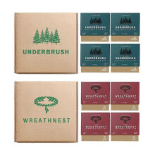 (2pcs/set) 4pcs Mint Mineral Supplement Chewing Gum