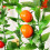 2 Stuks Kunstmatige Fruit Wijnstok 2.4Meter Lange-Fruit B 7