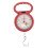 Portable Spring Scale Plastic Handle 50 lb 5