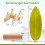 Balance Board Set with Cork Roller for Core Training 2