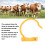 Nylon Bull Nose Rings 4 Pack Yellow Heavy Duty 12