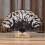 Wedding Fan Silk Lace Folding Handheld Flower Fan 1pc 4