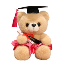 Ours en peluche pour remise de diplôme de doctorat, 18 cm